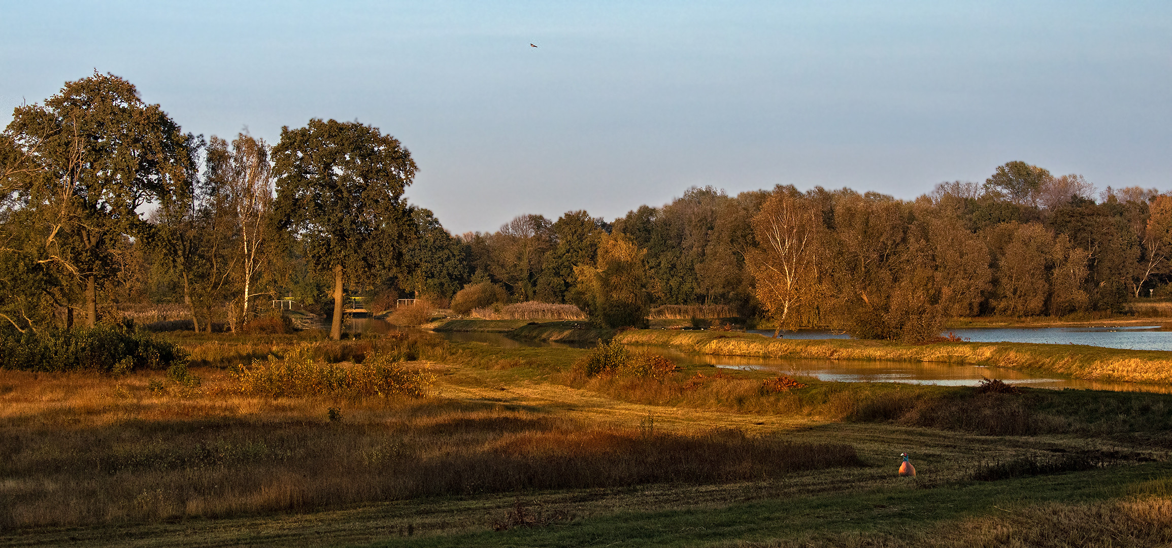 Herbstlich