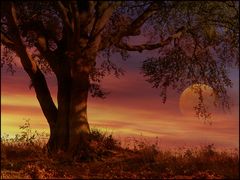 Herbstlich..
