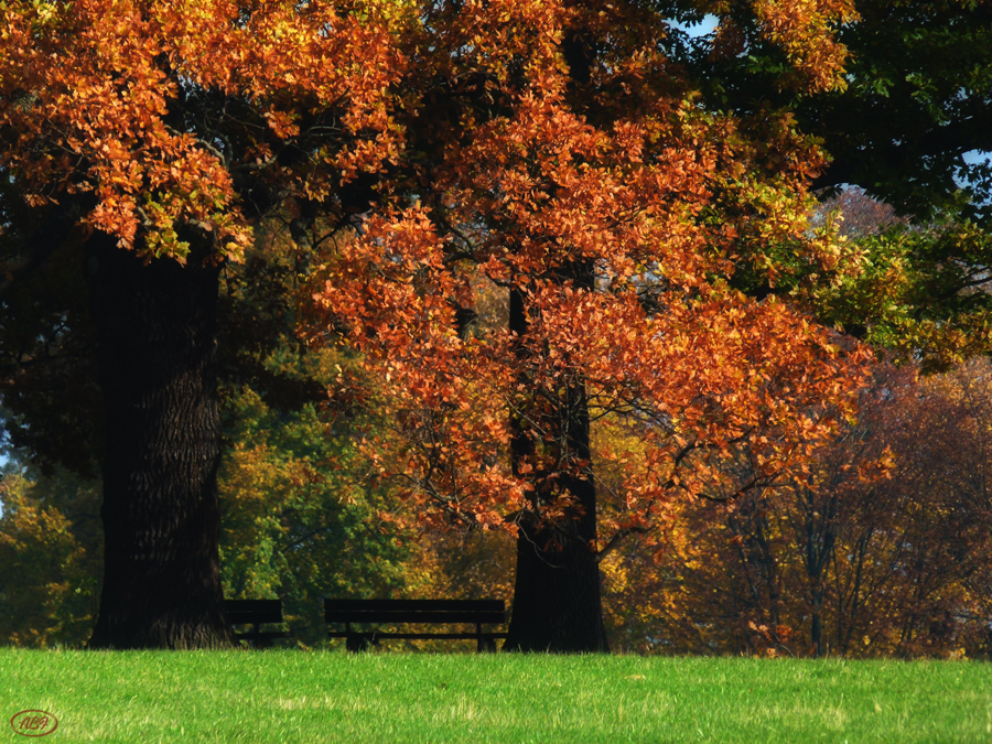 Herbstlich...