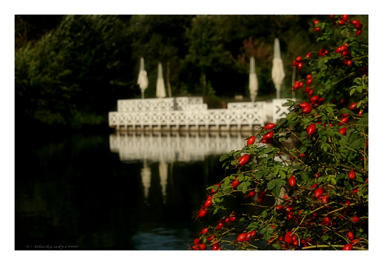 herbstlich