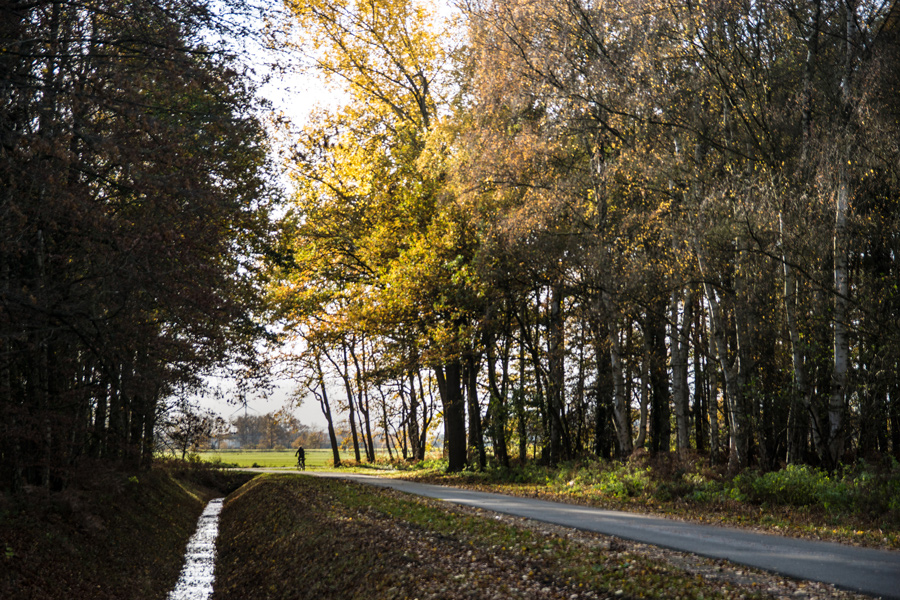 Herbstlich