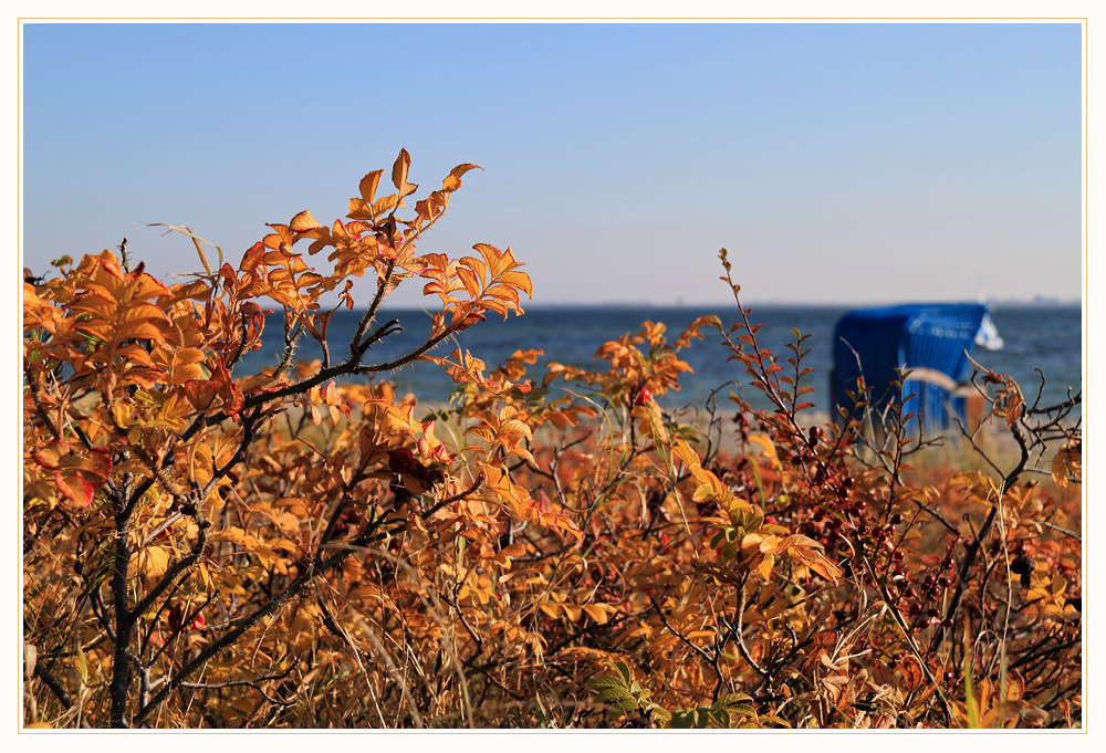 Herbstlich