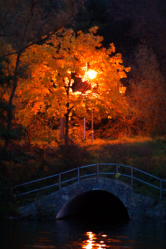 Herbstlich elektrisch