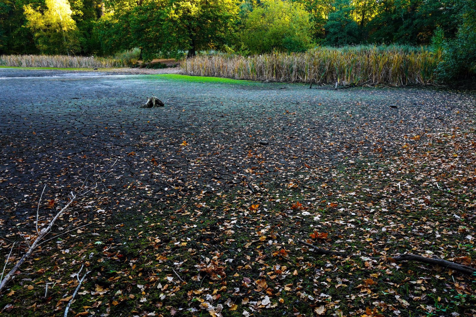 Herbstlich....