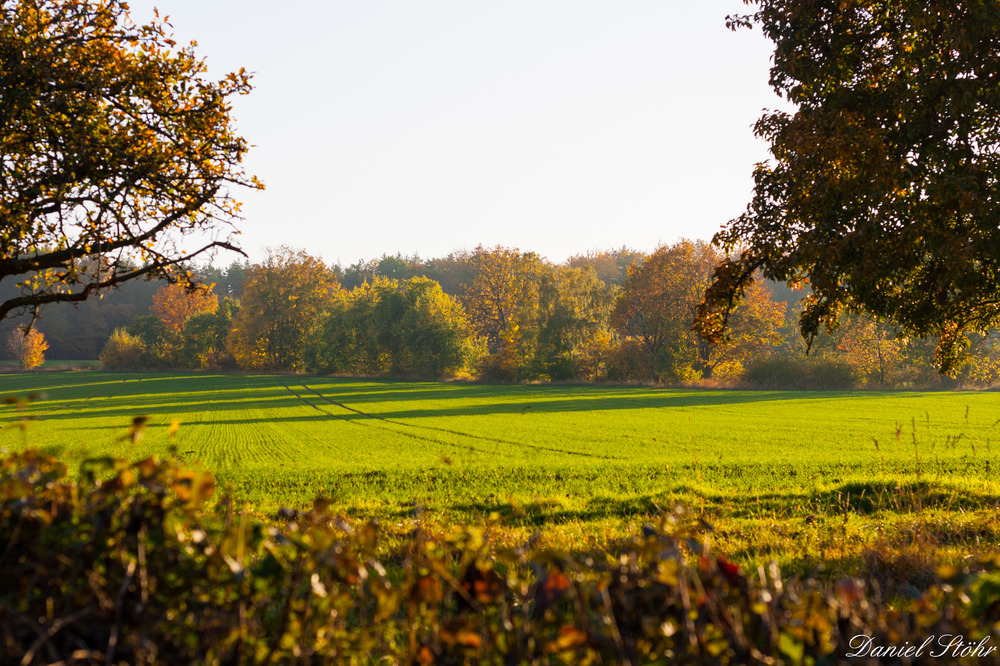 Herbstlich