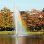 Herbstlich Farbspielerei im Spreeauenpark Cottbus