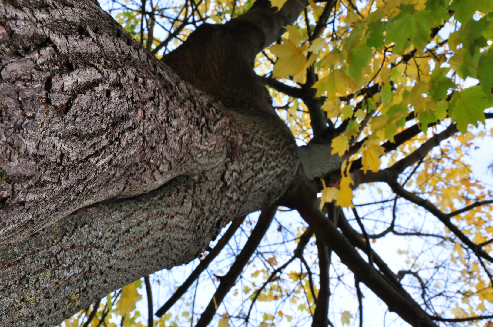 Herbstlich