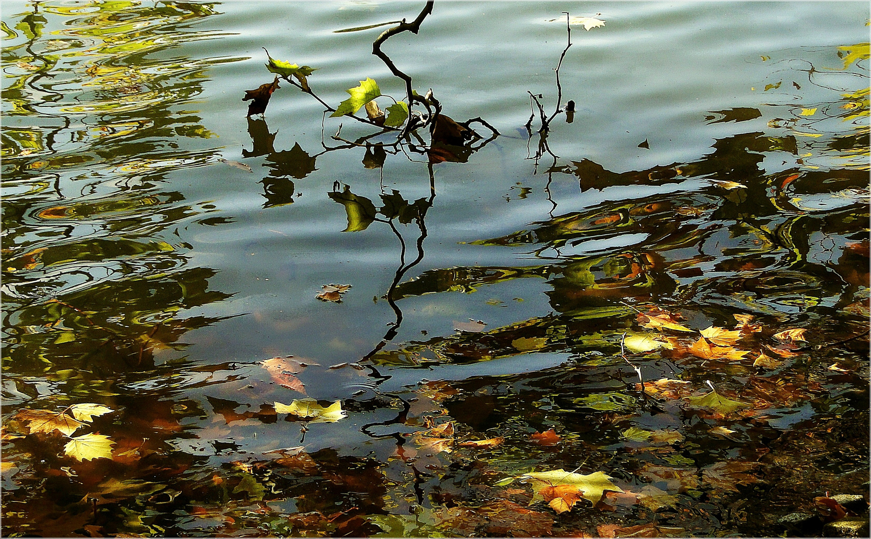 Herbstlich ...