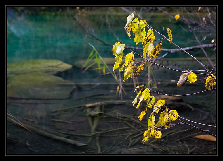 ~ Herbstlich ~