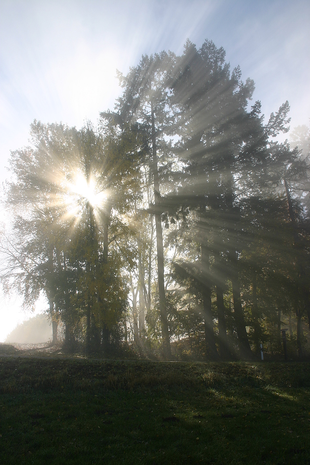 Herbstlich