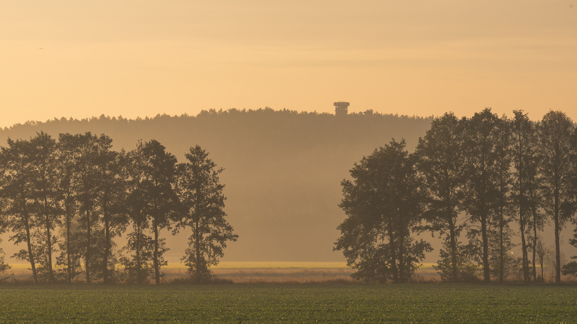 Herbstlich