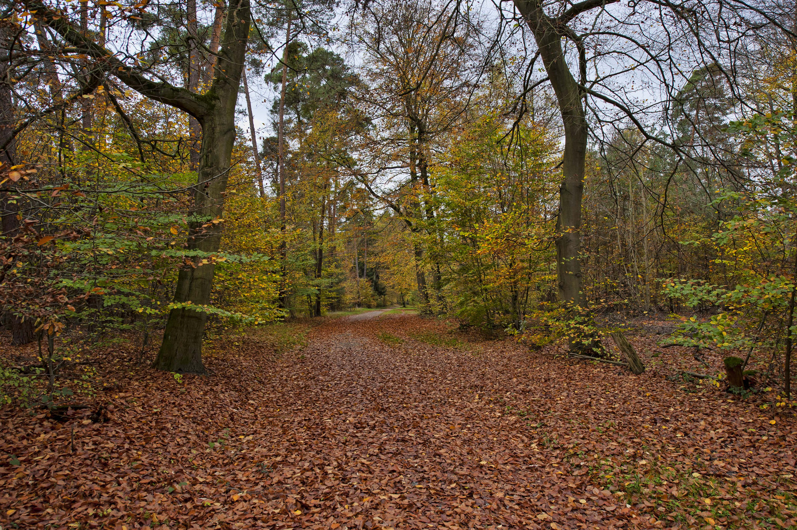 herbstlich