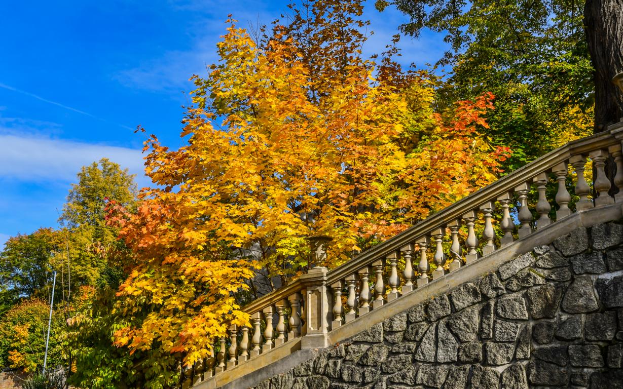 Herbstlich gefärbt