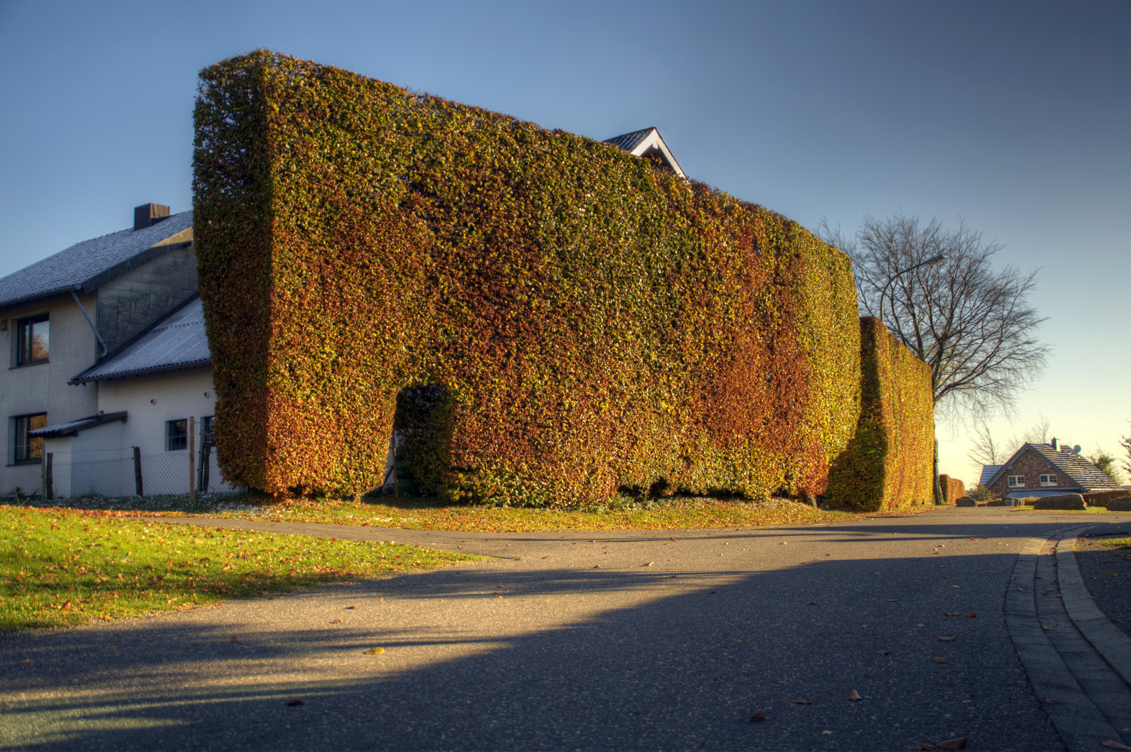 Herbstlich gefärbt