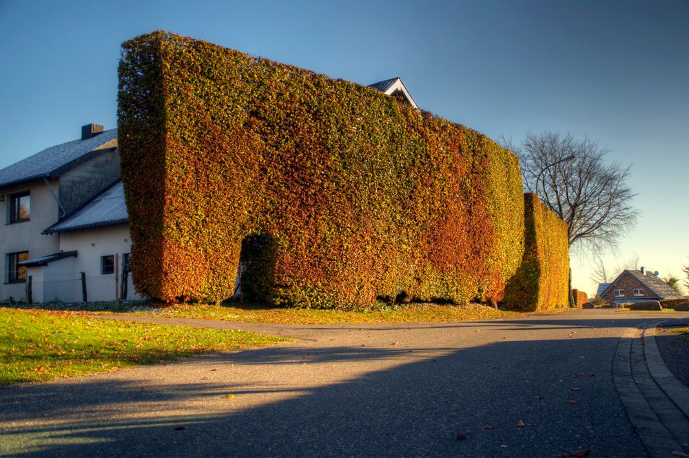 Herbstlich gefärbt