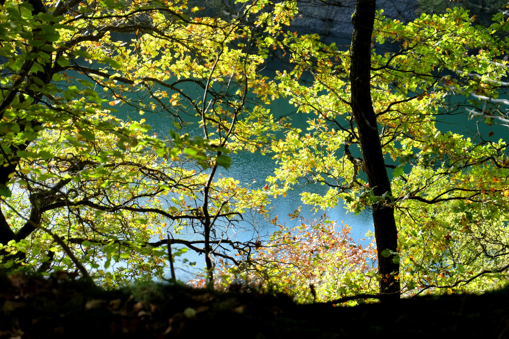 herbstlich gefärbte Bäume vor einem See