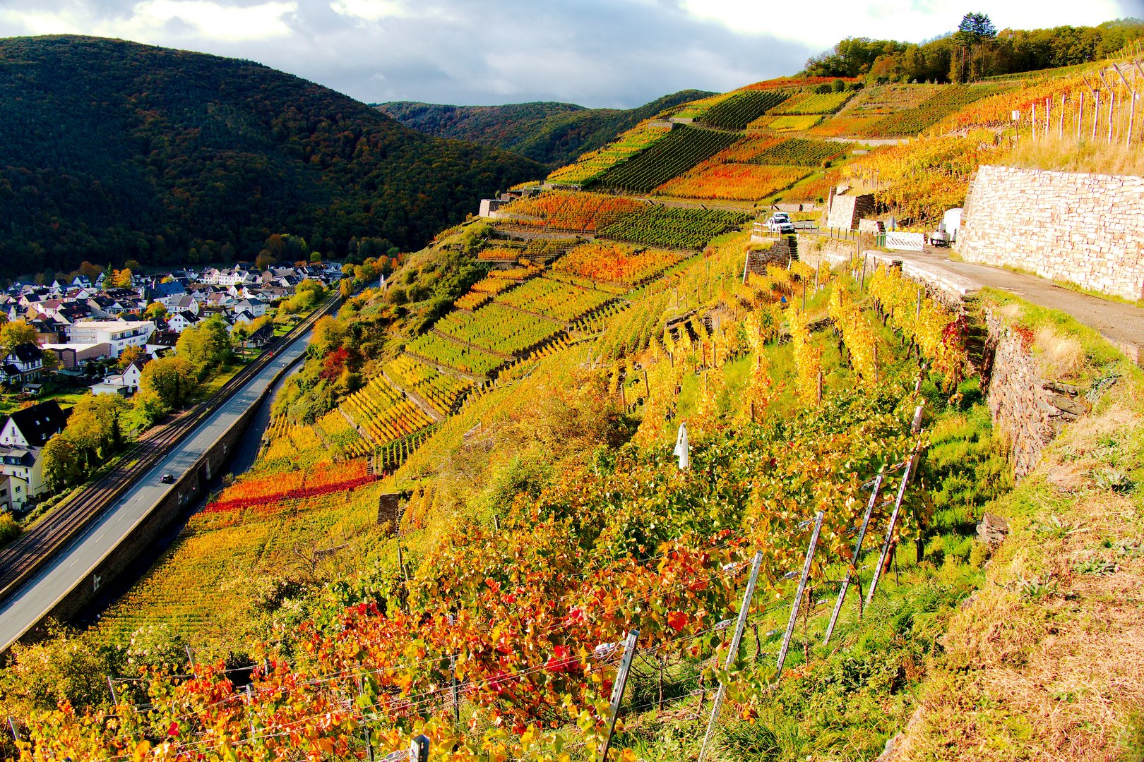 Herbstlich gefärbte Weinberge im Ahrtal