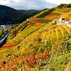 Herbstlich gefärbte Weinberge im Ahrtal