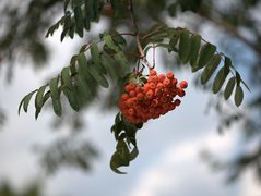 Herbstlich geht es in den Mittwoch....