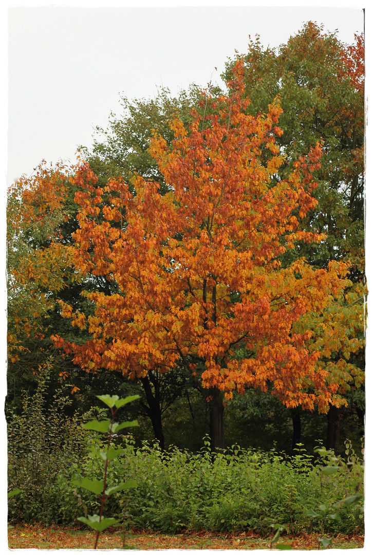 Herbstlich gekleidet