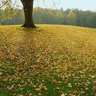 Herbstlich gemusterter Laubteppich