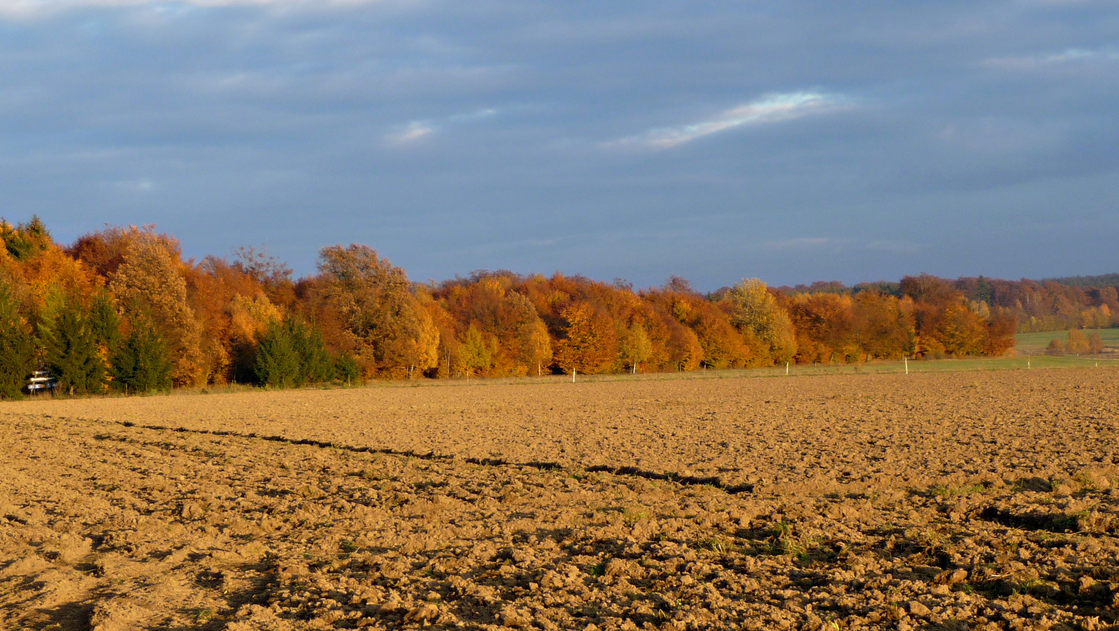 Herbstlich geschmückt