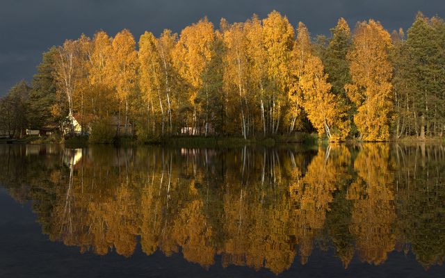 Herbstlich geschmückt