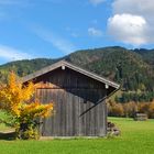 herbstlich geschmückter Stadel