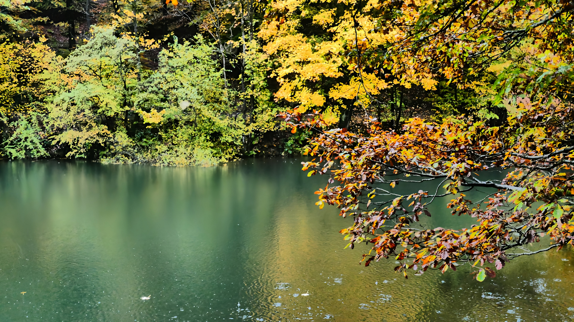 Herbstlich gespiegelt im Regen 