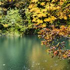 Herbstlich gespiegelt im Regen 