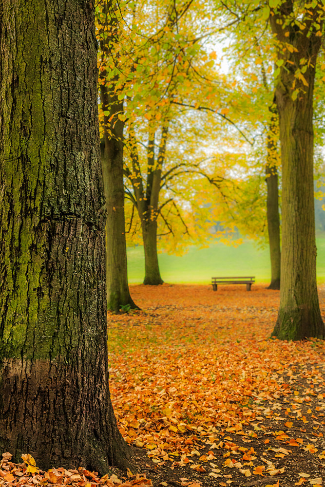 Herbstlich-Herrlich