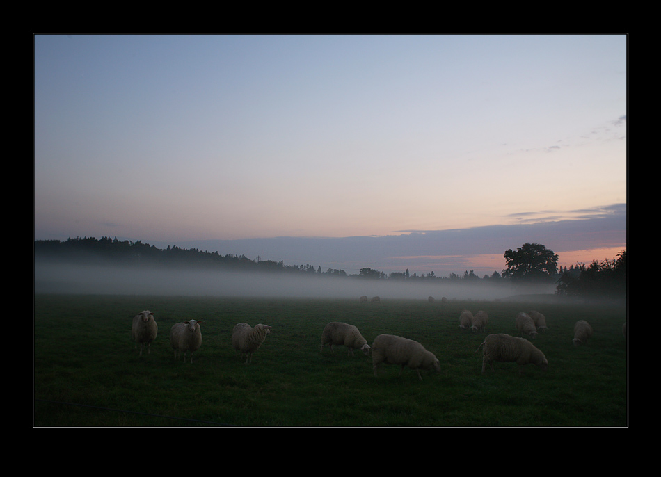 herbstlich I