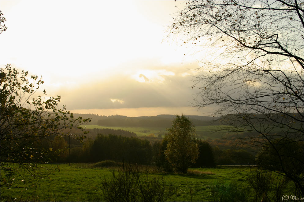 Herbstlich I