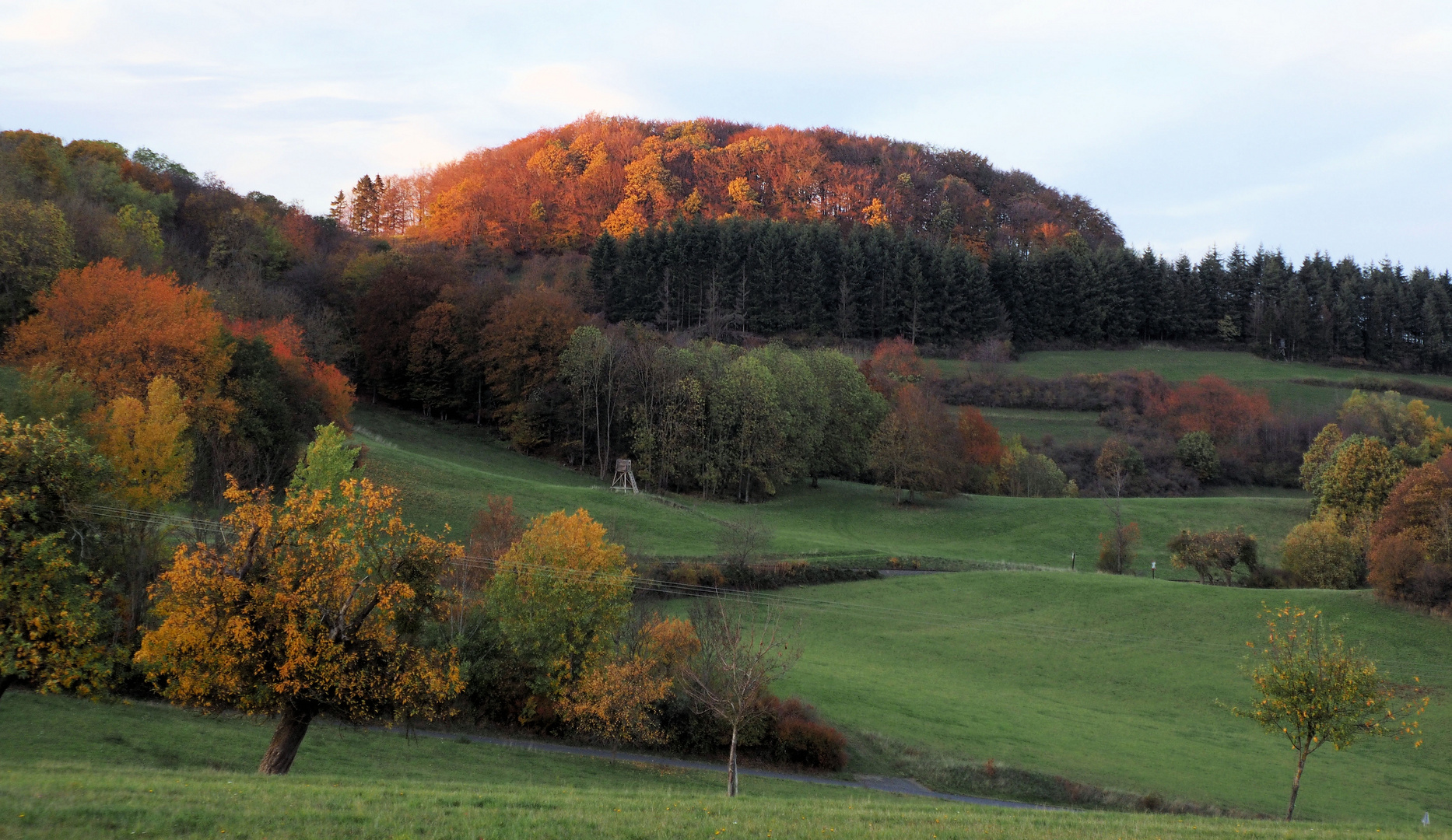 Herbstlich in der Eifel ... 