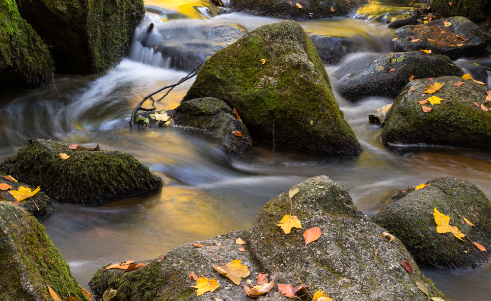 Herbstlich in der Hölle 1