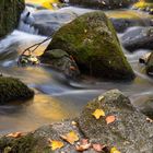 Herbstlich in der Hölle 1