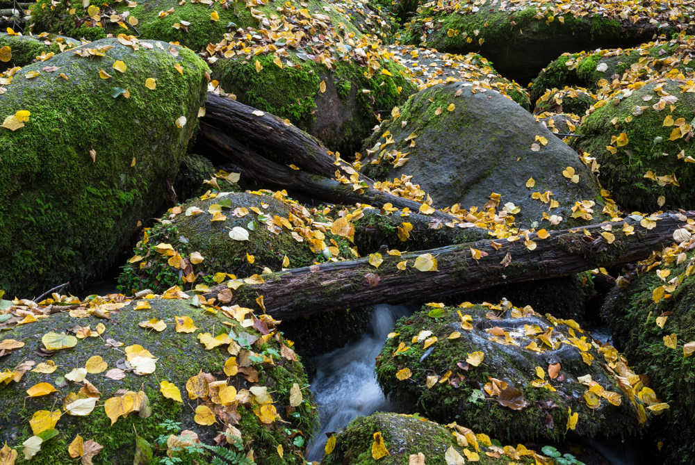 Herbstlich in der Hölle 2