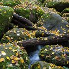 Herbstlich in der Hölle 2