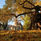 Herbstlich in Pottendorf