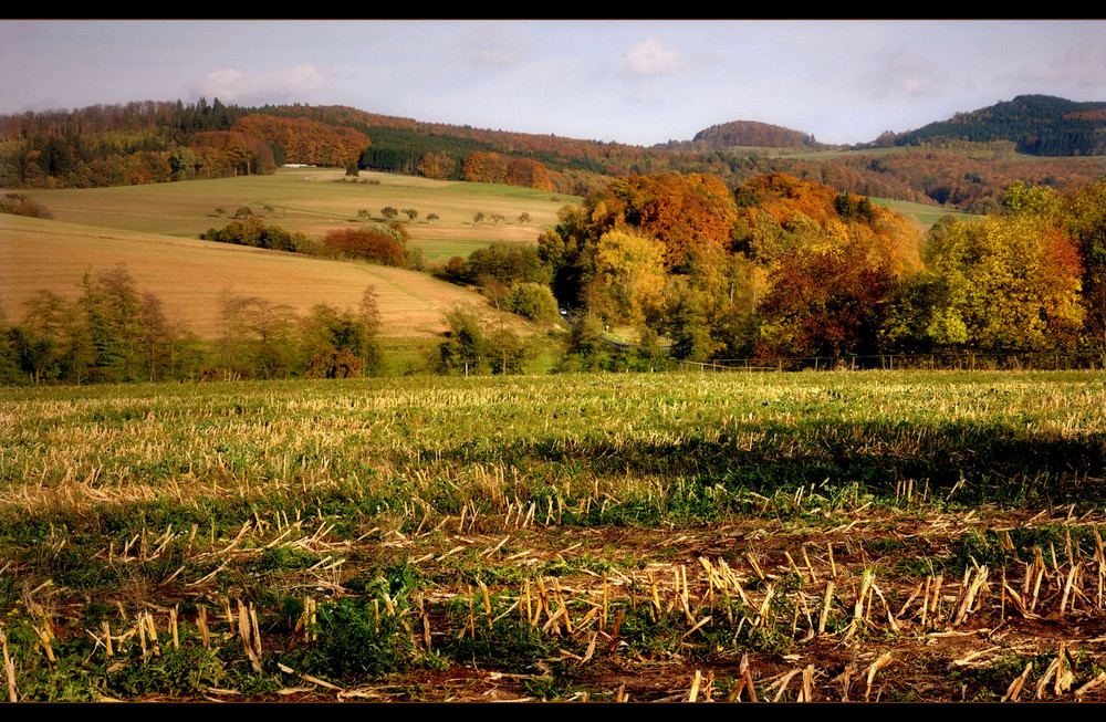 herbstlich IV........