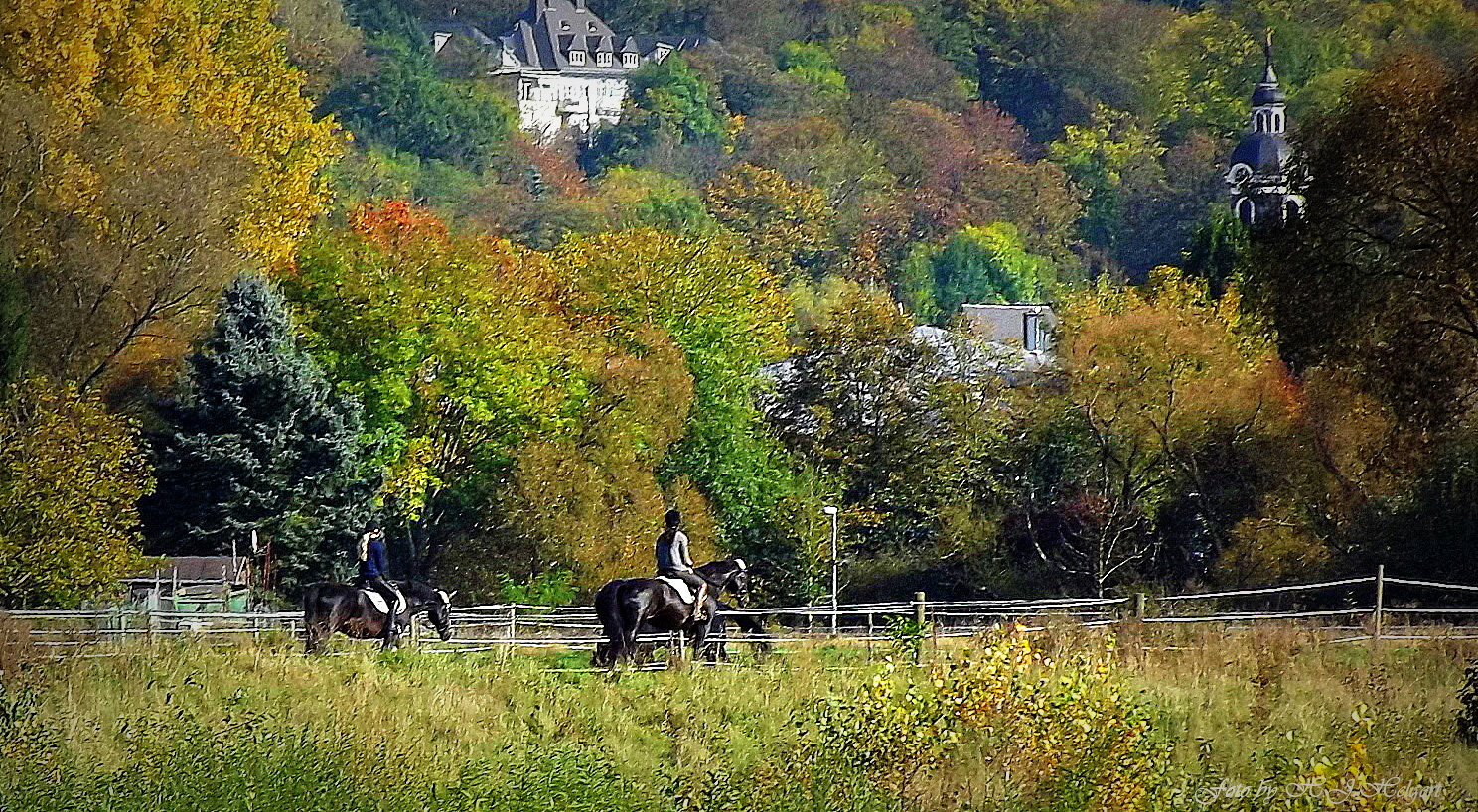 Herbstlich / ländlich vor den Toren der Stadt.