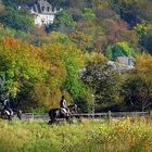 Herbstlich / ländlich vor den Toren der Stadt.