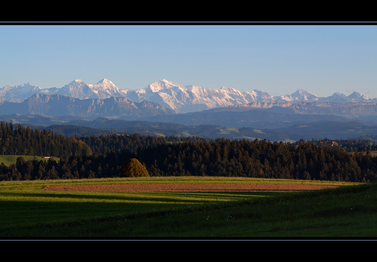 Herbstlich lange Schatten