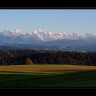 Herbstlich lange Schatten