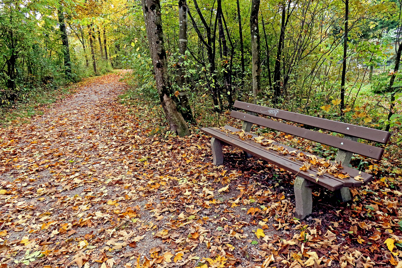 Herbstlich leicht gepolsterte Bank