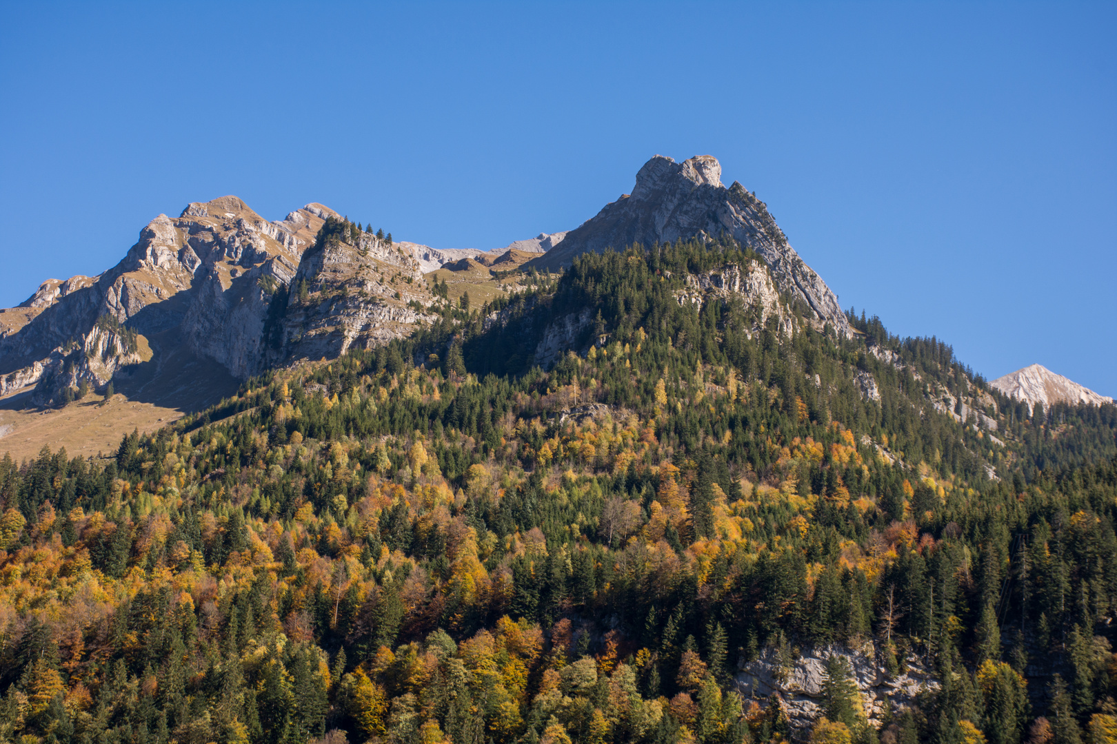  herbstlich leuchtend der Wald