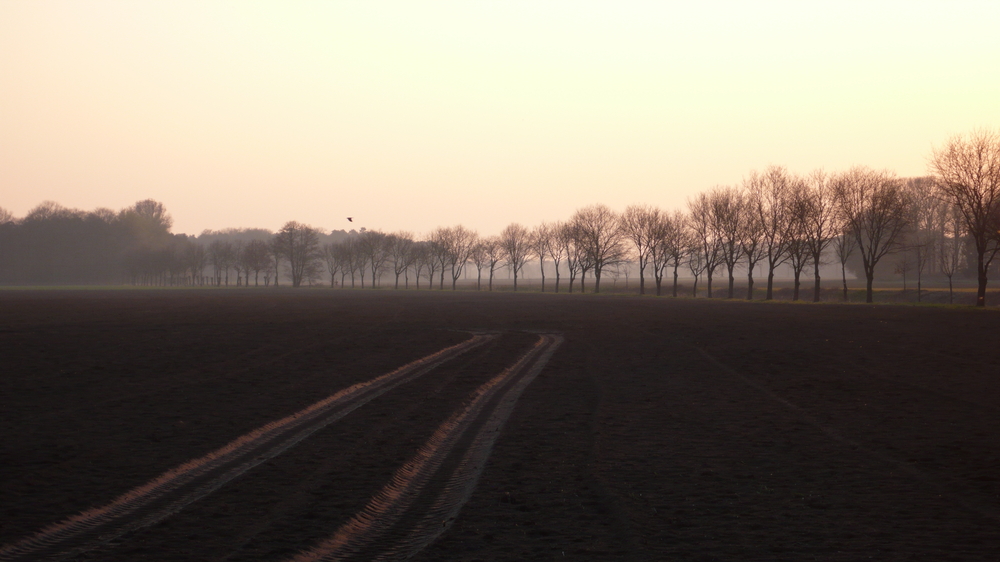 ...herbstlich - melancholischer Anflug