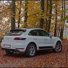 Herbstlich mit Auto im Wald