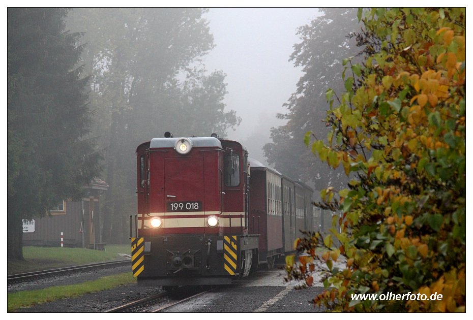 Herbstlich nass ....