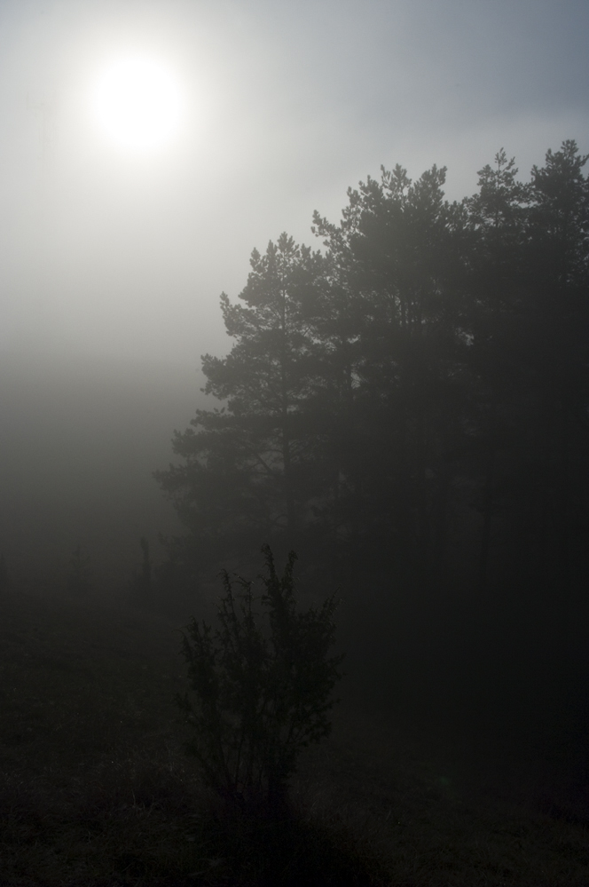 Herbstlich Nebel
